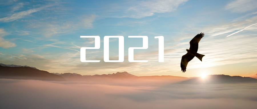 乘“峰”而上，智“盈”将来 ——2021年欧宝OB环境高级资深副总裁新年开工带头